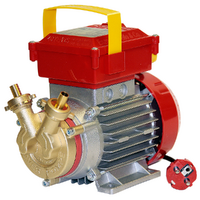 Rover BE-M 10 - Bomba eléctrica de trasiego de bronce - Monofásica - 230 V