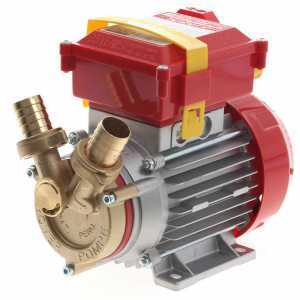 Bomba de trasiego Rover 25 con By-Pass motor el&eacute;ctrico monof&aacute;sico 0,8 hp
