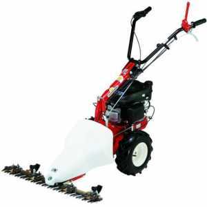 Motosegadora de gasolina autopropulsada Eurosystems M210 con motor 4 tiempos