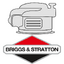 Motor Briggs&Stratton